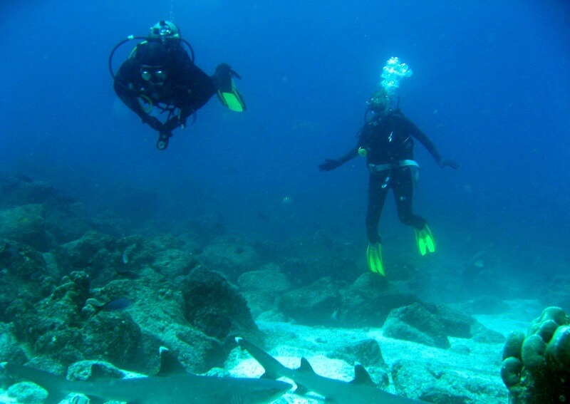 Diving in Ayangue hacienda-eldorado.com Ecuador