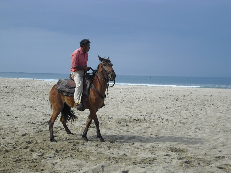 Horseback riding at the beach, hacienda-eldorado.com