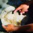 Finding dinosaur eggs, Hacienda El Dorado Ecuador