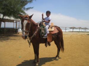 Reiten Hacienda El Dorado