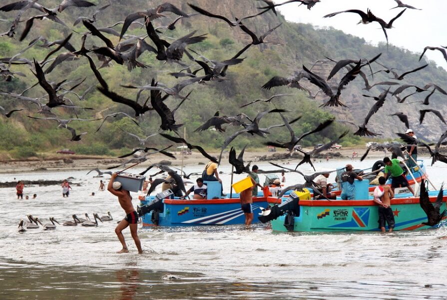 Fishermen in Puerto Lopez, Ecuador